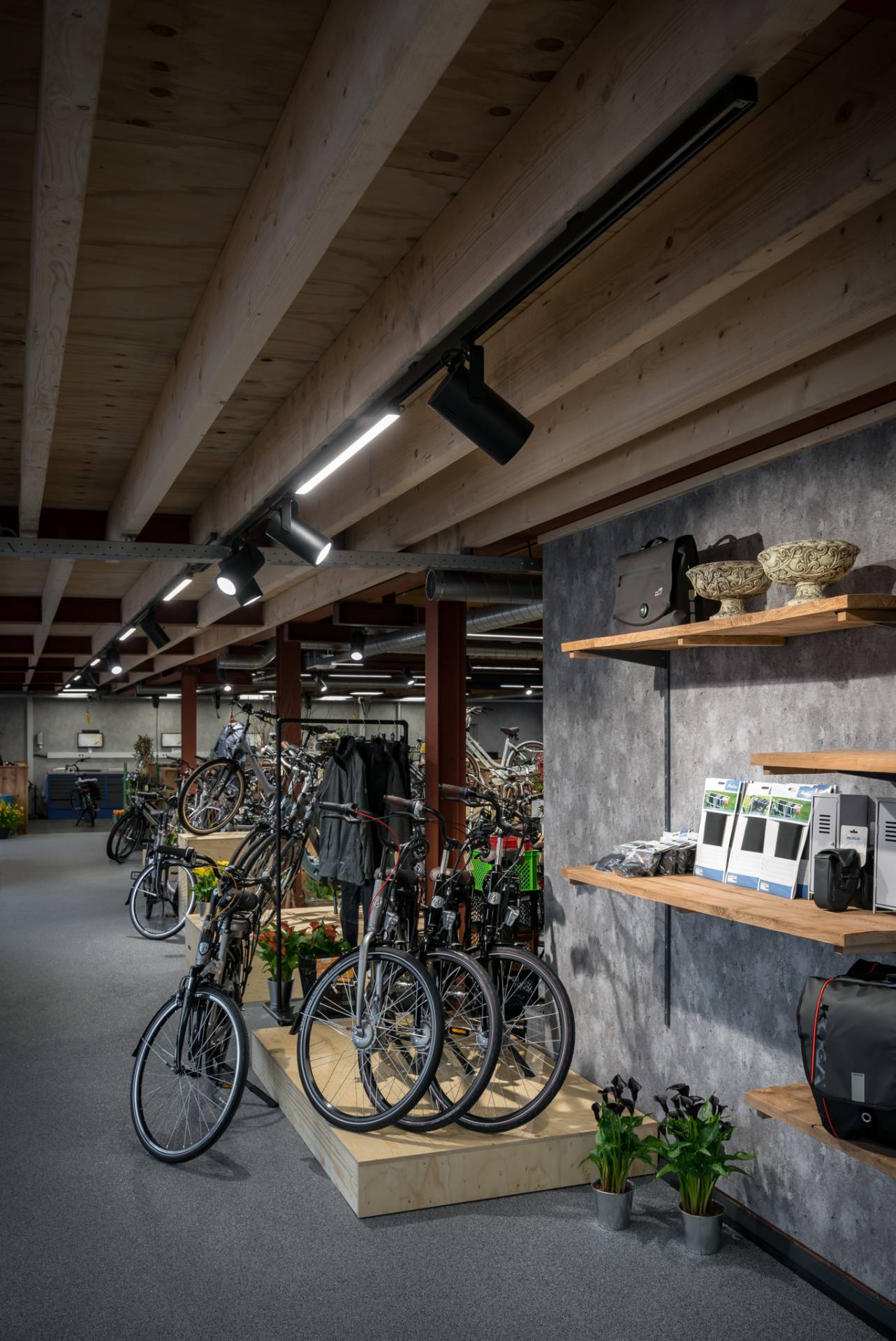 Verlichting Fietsenwinkel Biketotaal
