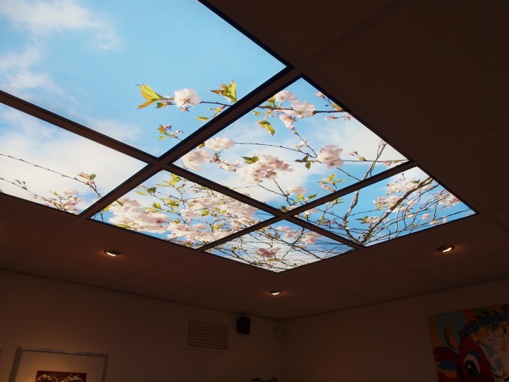 Wolken Systeem Plafond