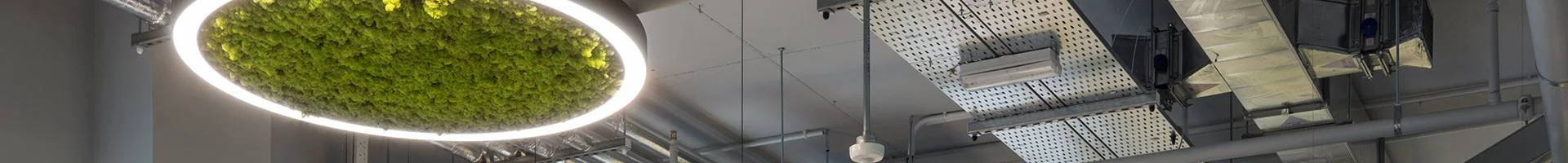 akoustische verlichting kantoor.