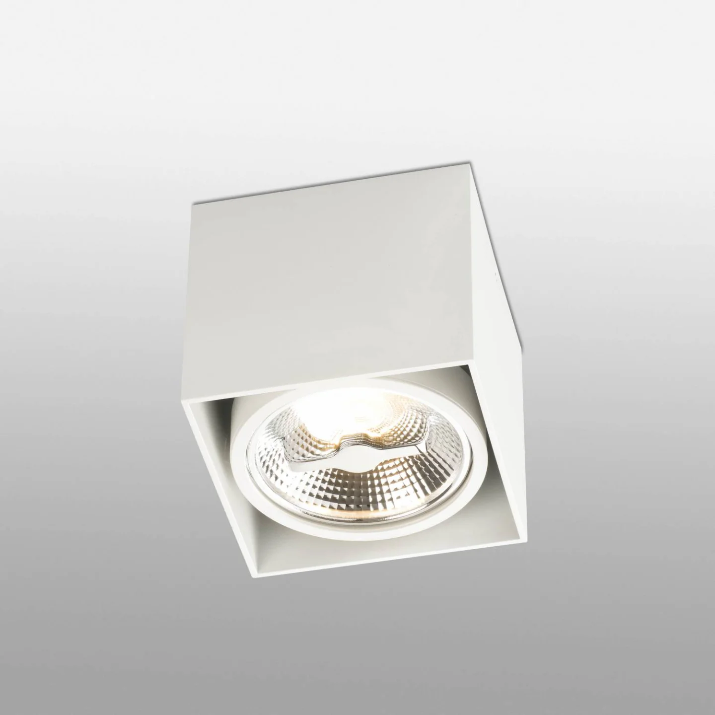 1x ar111 led spot.