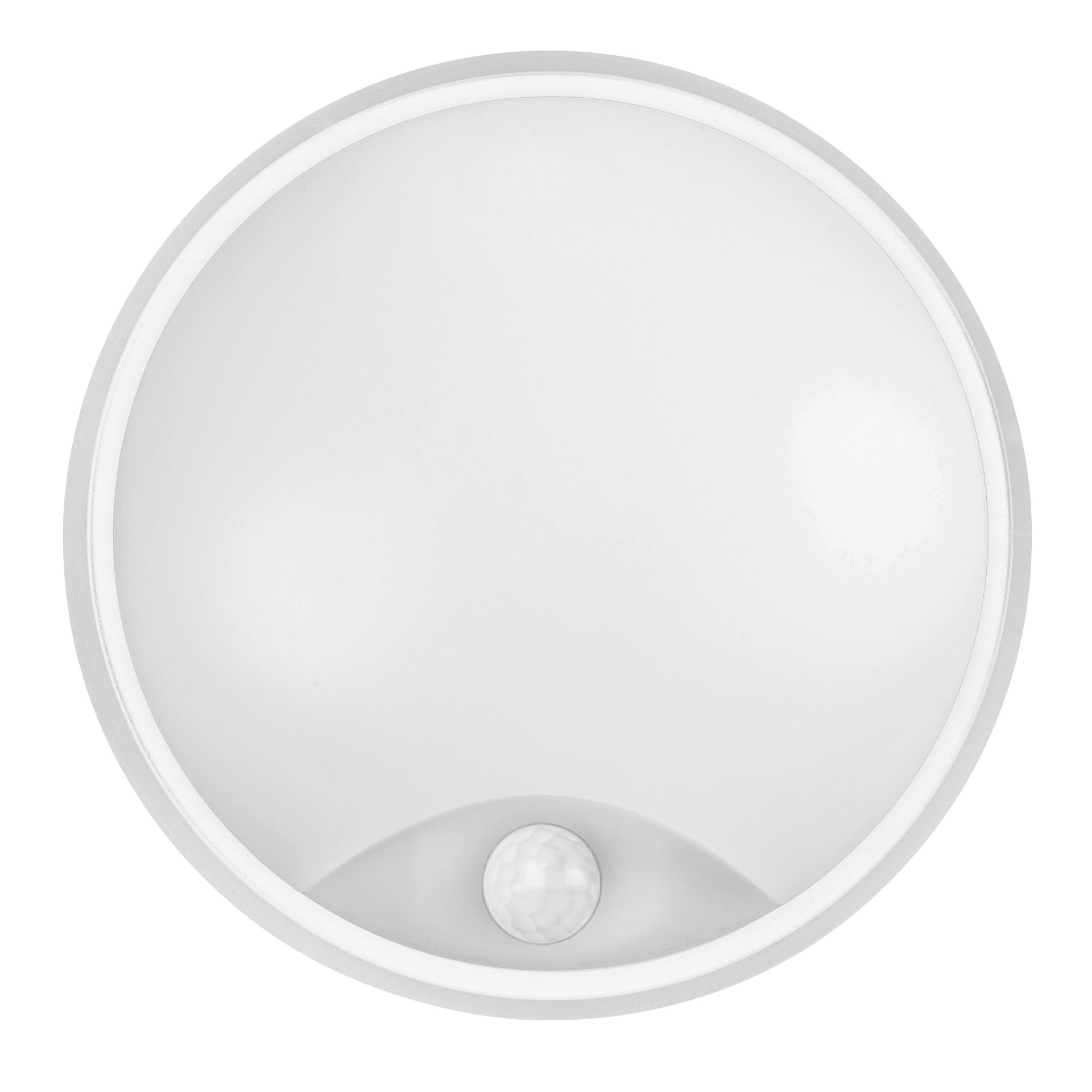 PX-0568-BLA