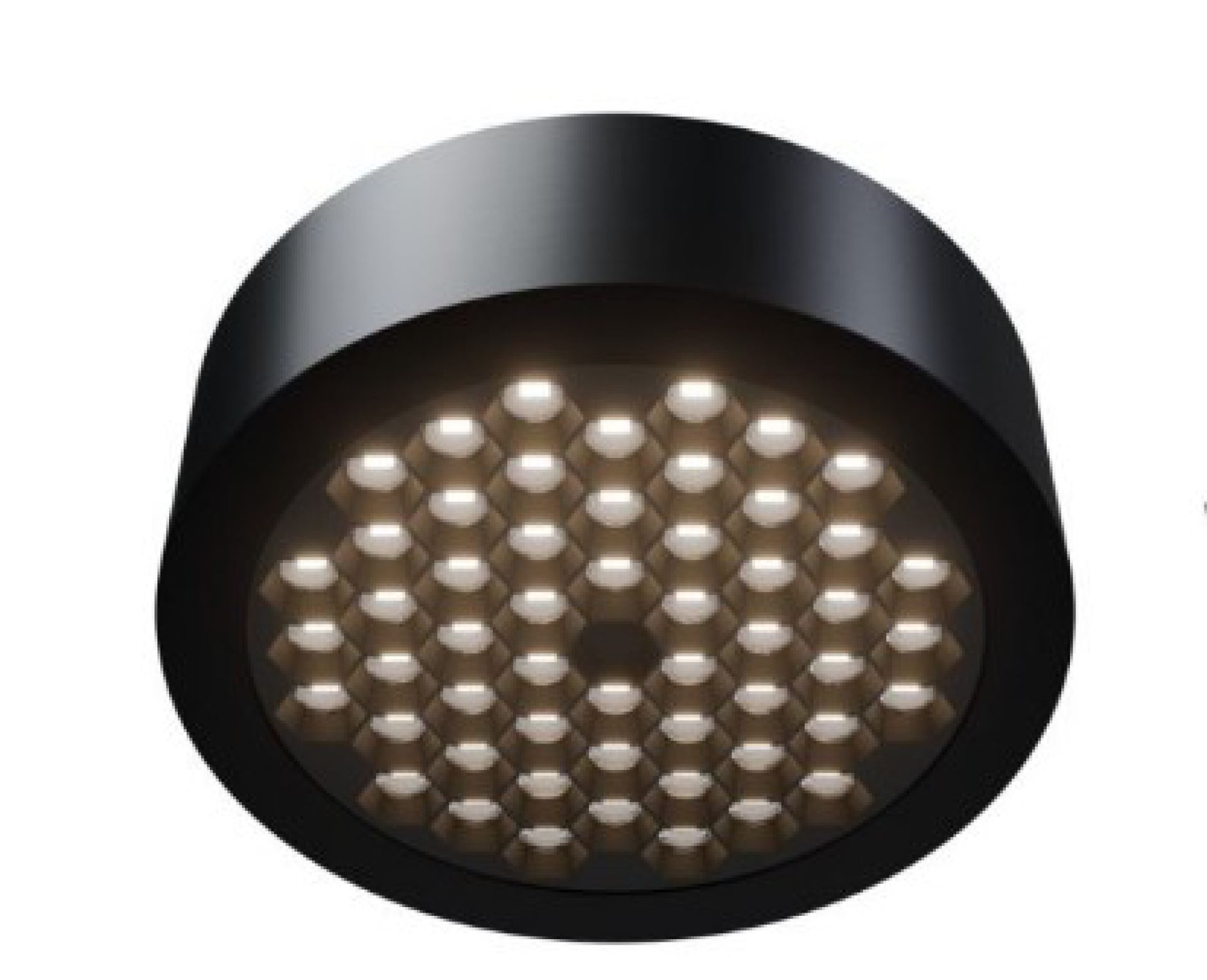 Screenshot 2026-02-05 at 12-10-46 WL HIV